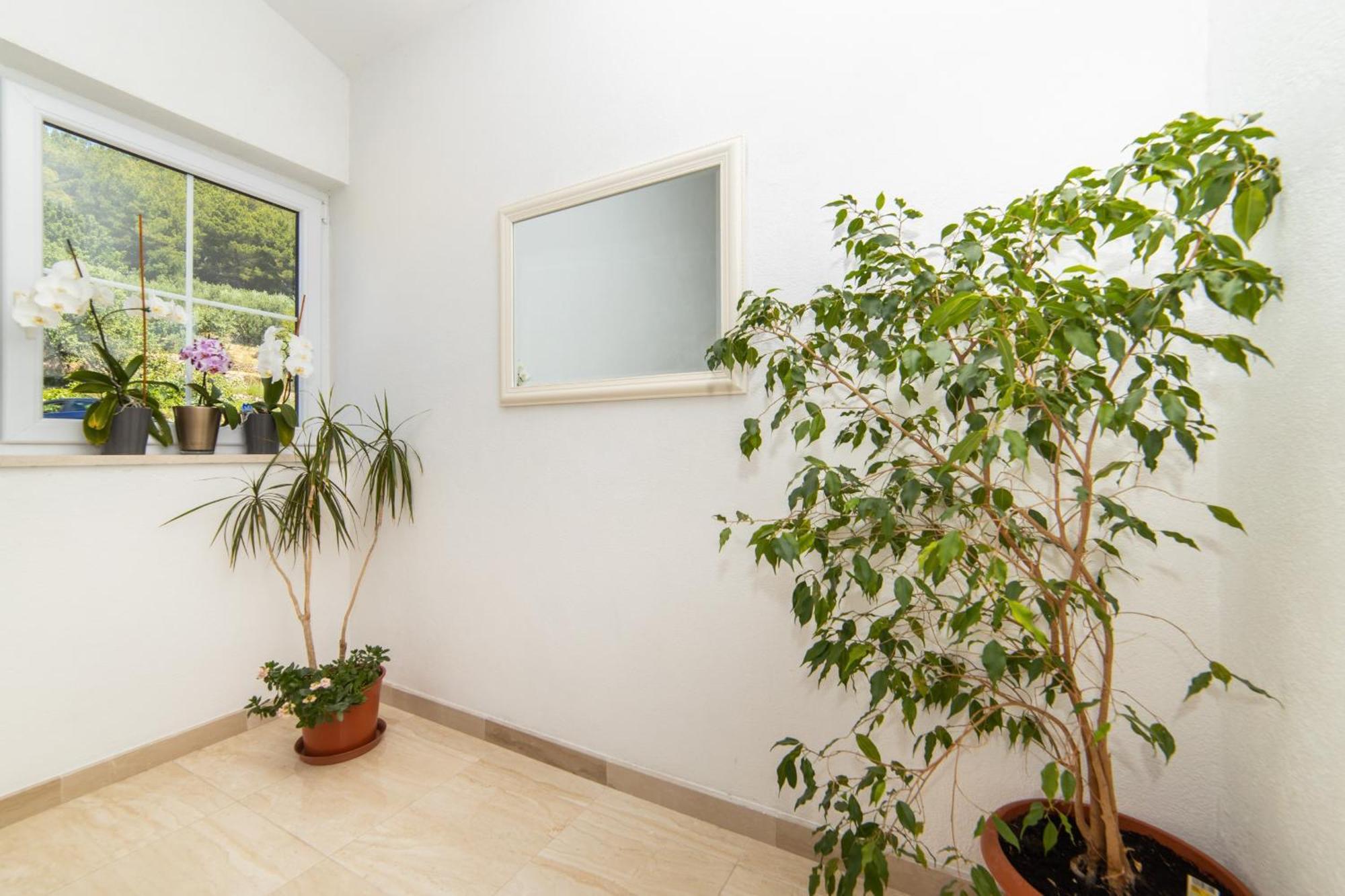 Apartments Tilda Брист Екстериор снимка